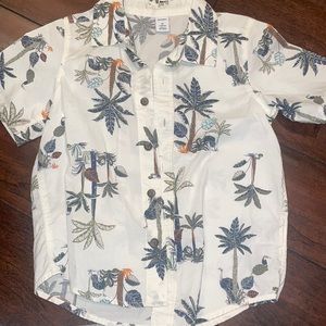 Shirt size 4T